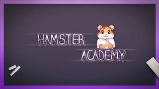 The Hamster’s Guide Centralized vs Decentralized Cryptocurrency Exchange ???? Hamster Academy