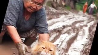 बूढी औरत और बिल्ली की दोस्ती | Old lady and Cat
