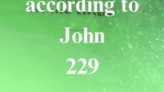 The Gospel according to John 229