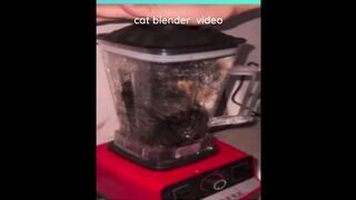cat blender twitter video