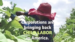 Why Child Labor in America is Skyrocketing  Robert Reich