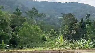 Suasana yang bikin rindu halaman rumah di desa | Baturraden Purwokerto Banyumas Jawa Tengah