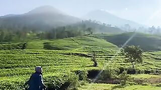 Keindahan Wisata Alam Gunung Cilik Kaliurip | View Gunung Kembang & Sindoro | Explore Jawa Tengah