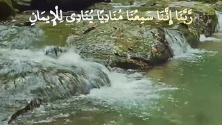 القرآن الكريم 41