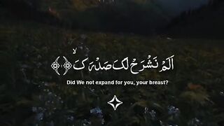 Quran 315