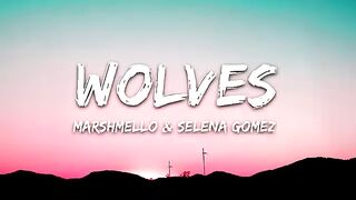 Selena Gomez, Marshmello - Wolves (Lyrics) 2