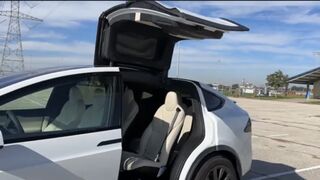Teslamodel x