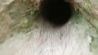 Anak burung di dalam lubang