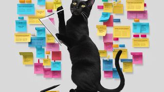 Blog Article Structure-Black Cat SEO