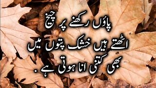 Urdu poetry | Hindi shairy | quotes urdu hindi