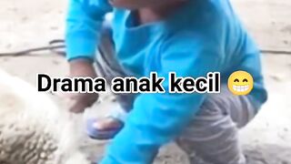 Kambing nya nurut