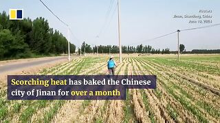 Riverbeds crack as Chinese farmers struggle through intense heatwave