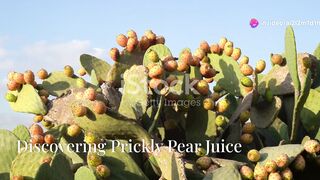 Prickly pear juice and its benefits for the body and  relations