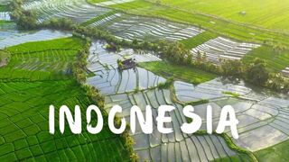Indonesia | Cinematic Travel Video | Stock Footage