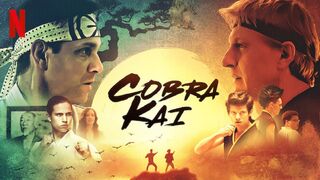 Cobra Kai 2018 S01 E1 HD 720p Hindi Dubbed. Drama Action-adventure web series