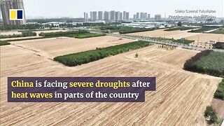 Severe drought grips large area in China