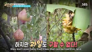 BTS Jin on Law of Jungle Episode 1 ENG SUB Part 2