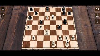 checkmate in two moves 13