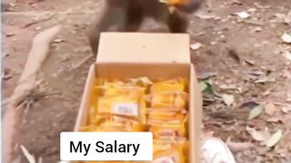 How salary is like.