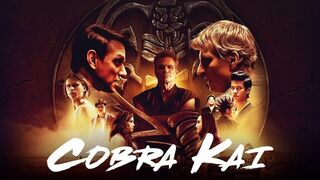 Cobra Kai 2019 S02 E1 HD 720p Hindi Dubbed. Drama Action-adventure web series