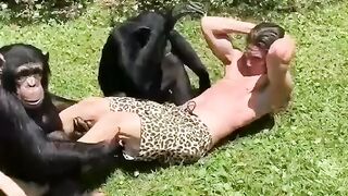 Watch how the guy was doing his workout with chimps ...