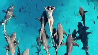 Watch the lady swimming with the shark