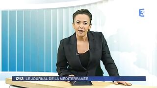 1807_economics_Éolienne_France_3___Journal_de_la_Méditerranée___Samedi_10_mai__2014_07_00(360p).