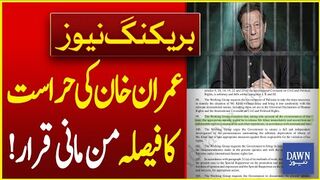 Imran Khans Detain Decision Declared As Arbitrary UN Working Report