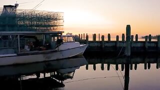 How American Fishermen Catch And Process Billions Of Big Crabs