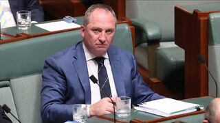 Barnaby Joyce slams pro-Palestinian protesters who scaled Parliament House