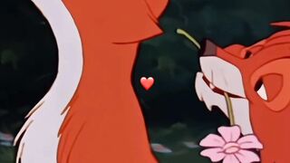 Cute fox love story ♥️