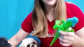 Assistant_Introduces_Wiggles_Waggles_and_Waffles_to_the_Toy_Lizard_#familyfun_#funnydogs(480p).