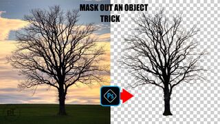 How to Mask Out an Object in Photoshop