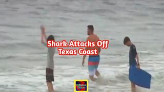Shark attacks along Texas coast prompt Coast Guard warning