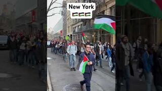 New York City Pro Palestinian Protest