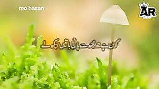 Beautiful video -Quran Shorts video -video ko share Karen @comment Karen@viral @karoo @_144p.