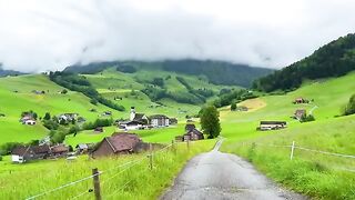 Life in a Swiss Alpine village  Heavy rain fell while cows were grazing outside the farm!!