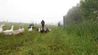 Day in the Life of a Small Farm