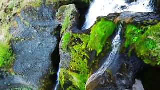 Amazing water fall |nature|1_naturelover