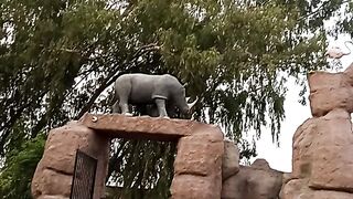 Safari zoo park #febspot#viralvideo