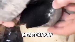 making obsidian karambit