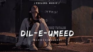 Dil E Umeed tora ha kisi ne (Slowed+Reverb)