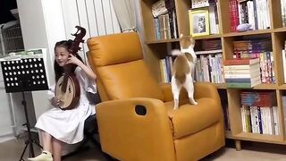 The cat is having fun with music