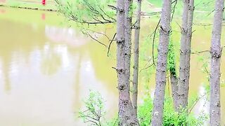 Beautiful view of Banjusa Lake kashmirview sadurdupoetry traveling banjousalake