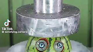 Satisfying compilation video