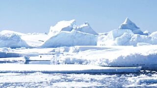 A misteriosa criatura antártica Ningen: realidade ou lenda?