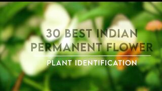 30 BEST INDIAN PERMANENT PLANTS