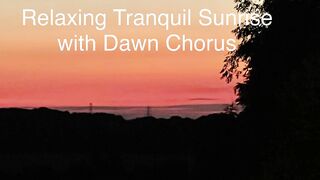 Relaxing Tranquil Sunrise + Dawn Chorus - Sat 20/Jul/24
