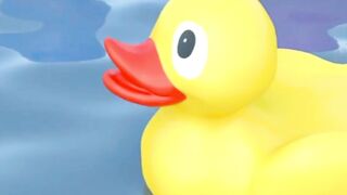 Rubber Ducks at the Swimming Pool - Nursery Cartoon Animation