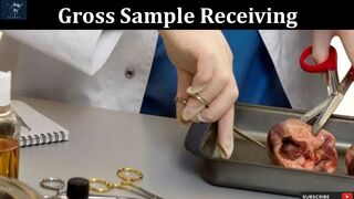 Gross Sample Receiving in Histopathology Laboratory | The First Step in Precise Diagnosis